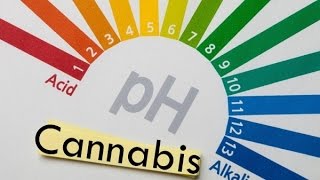 PH IDEAL CANNABIS CUPOM10%OFF GROW POWER CULTIVO INDOOR MACONHA KIT ESTUFA