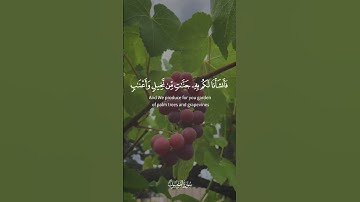 وأنـزلنا من السماء ماء بقدر فأسكناه في الأرض  [ المؤمنون: 18-20 ] القارئ ادريس أبكر