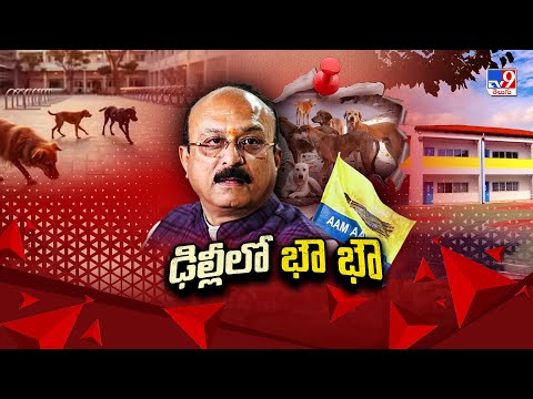 ఢిల్లీలో కుక్కల సమస్యపై రాజకీయ దుమారం! | Delhi - TV9 - TV9