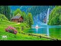 Beautiful Relaxing Music & Nature Sounds 🌿 Reduce Stress, Stop Overthinking, Find Inner Peace