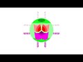 All Windows Animations From MS Paint In G Major 16 Low Voice 
