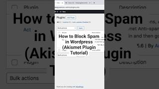 Stop WordPress Spam in 30 Seconds!
