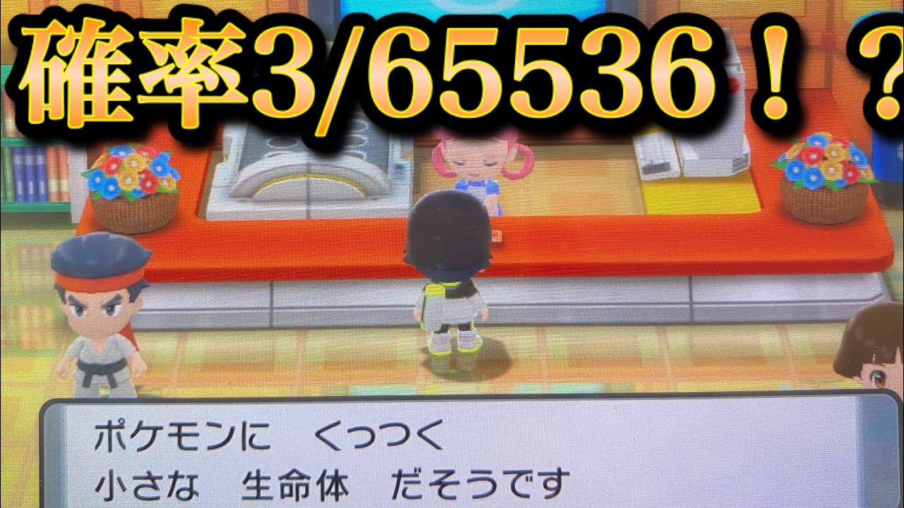 確率3 ポケモンdp ノモセジムにてポケルスに感染 ポケモンダイパリメイク Youtube 確率3 ポケモンdp ノモセジムにてポケルスに感染 ポケモンダイパリメイク Youtube