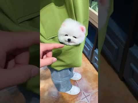 ايه لطافة دي