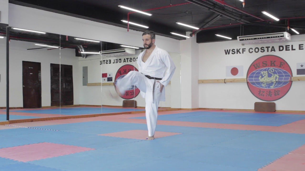 Front Kick (Mae Geri) Basic Check Points