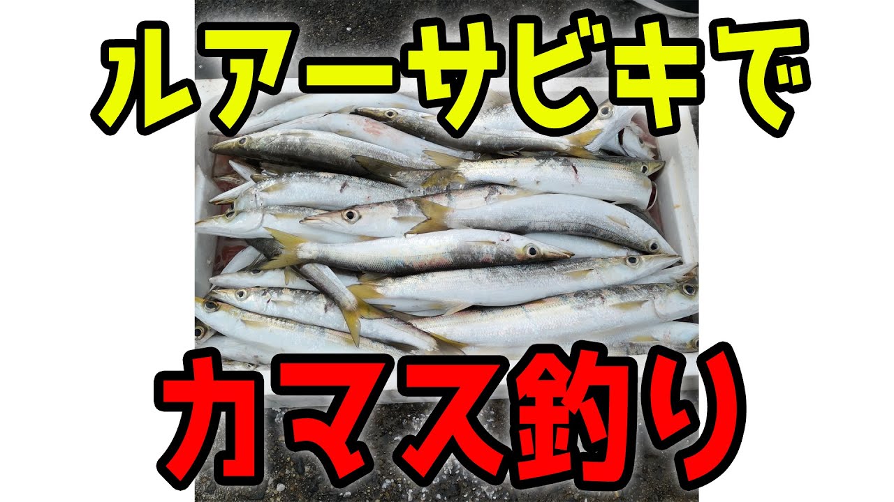壱岐でカマスがボコボーコ 壱岐のポテンシャル半端ない Youtube 壱岐でカマスがボコボーコ 壱岐のポテンシャル半端ない Youtube