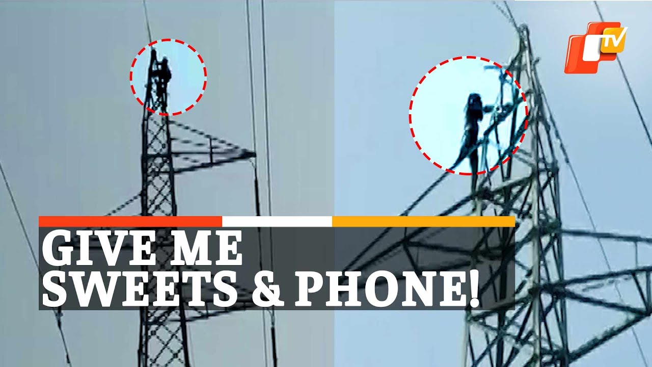 WATCH | Man Climbs High-Voltage Electric Tower, Refuses To Come Down ...
