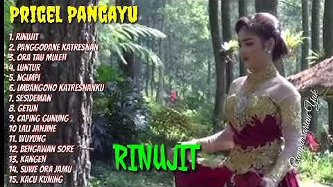 PRIGEL PANGAYU - RINUJIT | LANGGAM CAMPURSARI KRATON DIGITAL 2022 #campursarianyuk