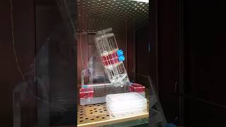 Random Position Machine (RPM)/Microgravity Simulator - Final Gearing