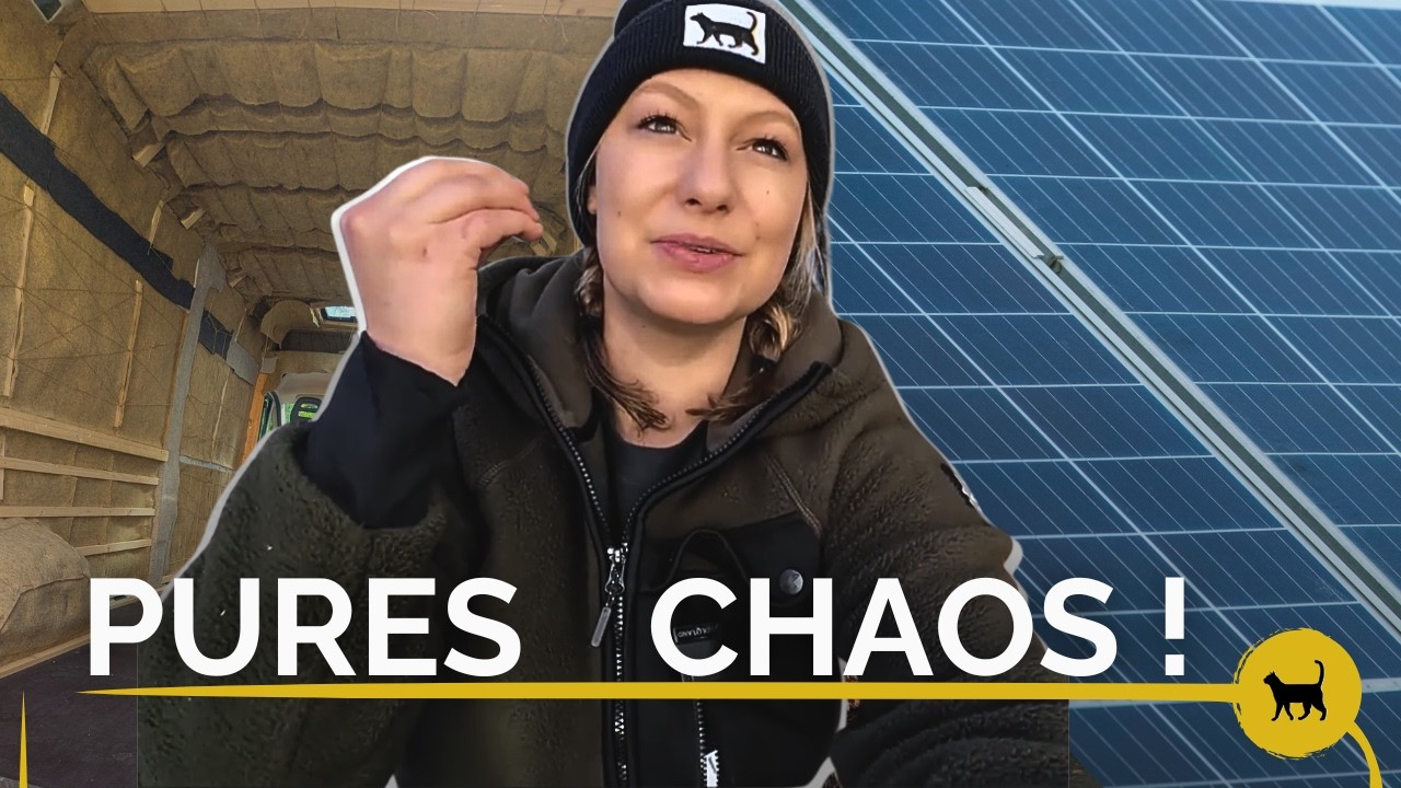 Ich FILZE den VAN und SOLAR muss aufs DACH 1/2 | Vanumbau | MilaMe