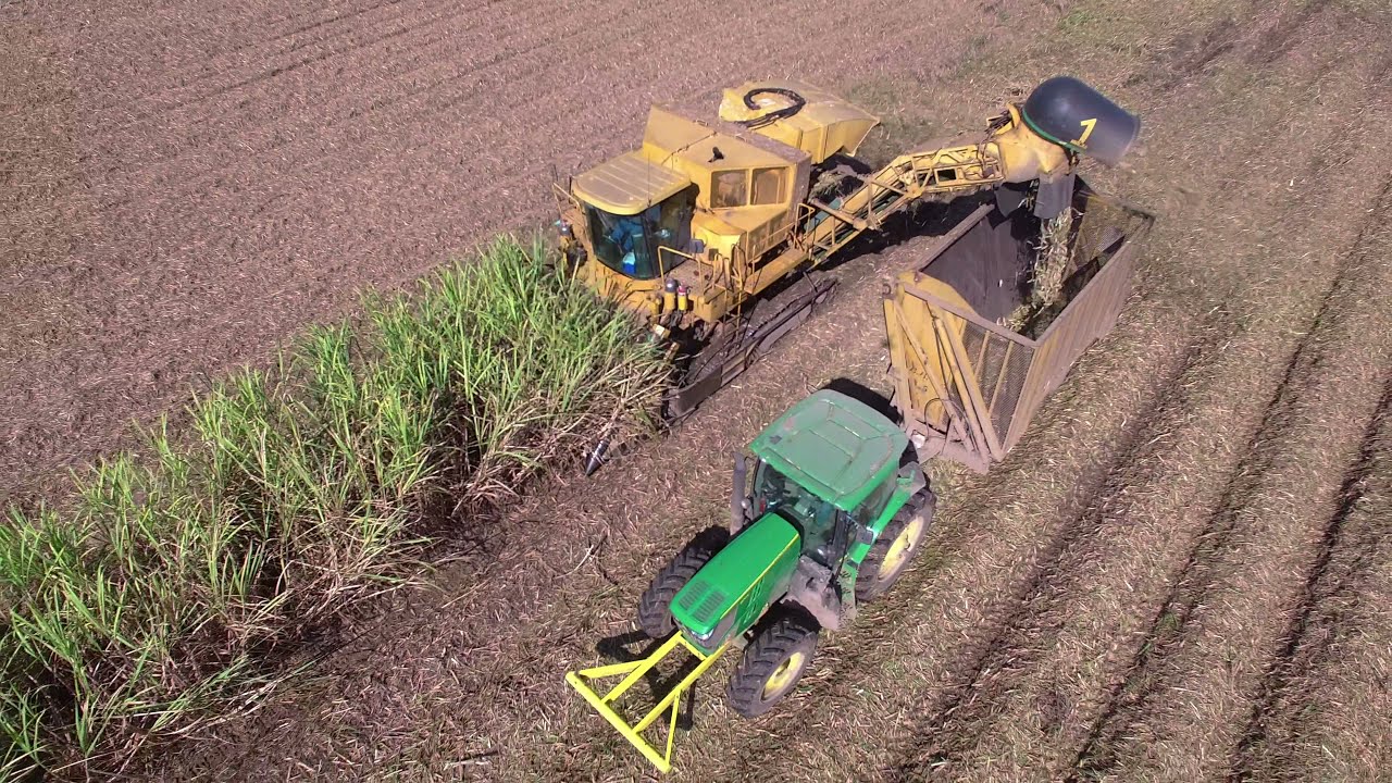Cameco 2 Row Sugarcane Harvester 4K video YouTube
