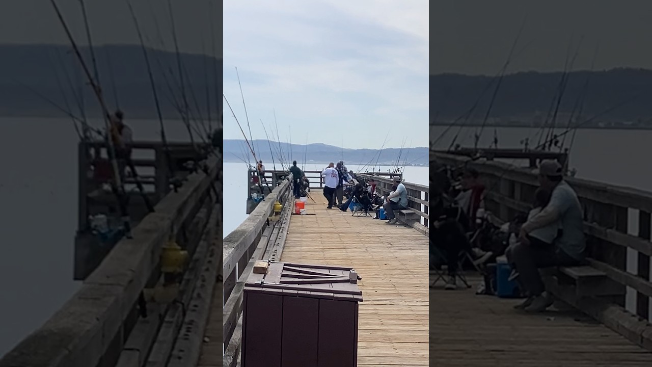 The most crowded halibut fishing pier in the sf bay
