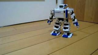 i-sobot
