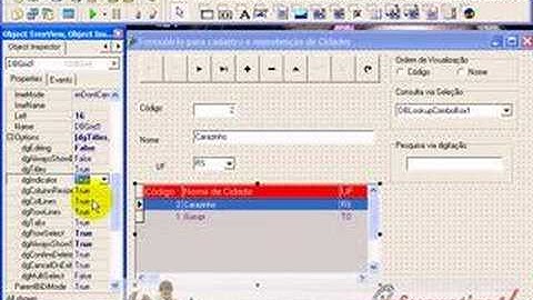 aula  Delphi c/ Interbase - DbGrid Linhas e Colunas