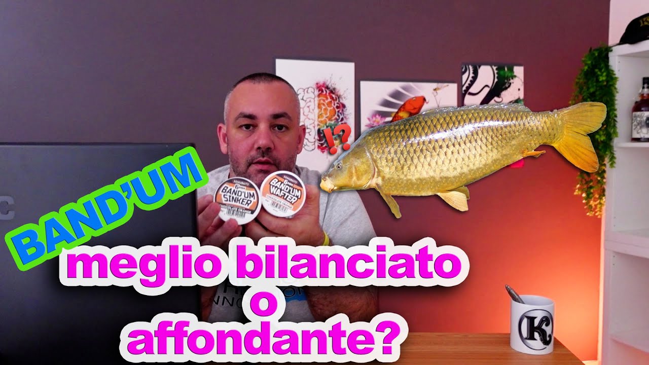 Band'um: meglio bilanciato o affondante?