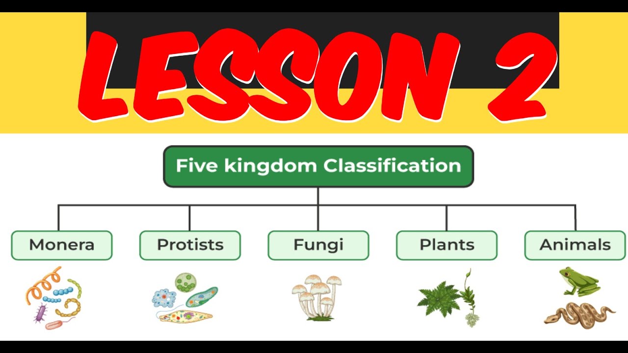 lesson 2 five kingdom classification system | learn with anwar - YouTube