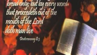 One small child in a land of a thousand.