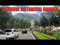 Bedugul botanical gardens crowded with tourists  google maps versi bh