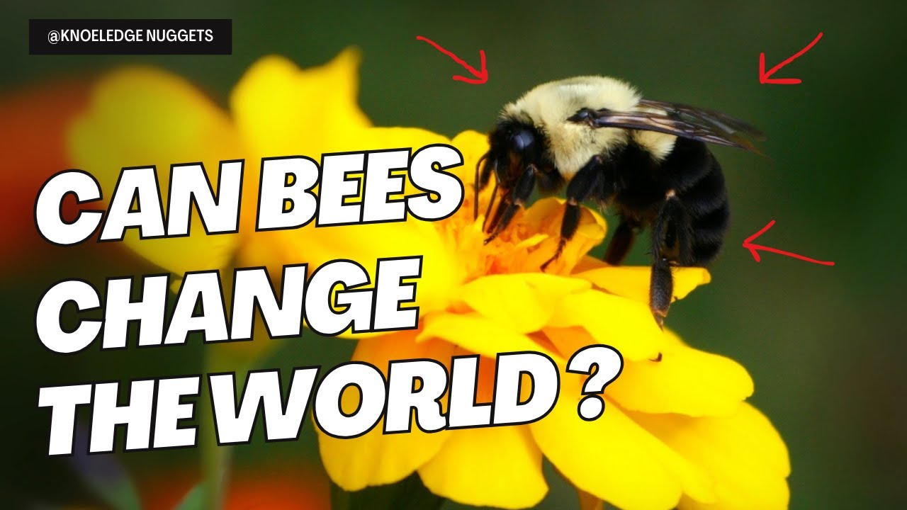 Buzzing Through Time: The Incredible History of Bees 