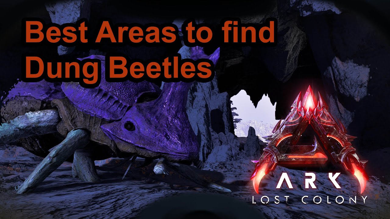 ARK | Затерянная колония | Лучшие места для поиска навозных жуков