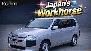 2019 Toyota Probox Hybrid Full Interior & Exterior Walkaround