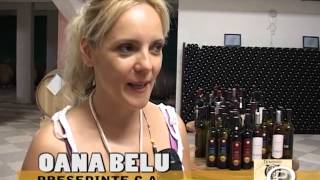 Domenile Ostrov Winery - YouTube