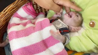 Baby Monkey Dorn Not Satisfying To Give Mom Check His Strong Teeth