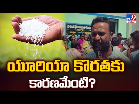 Urea shortage : యూరియా కొరతకు కారణమేంటి? | Telangana - TV9