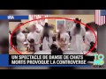 Cruauté animale? Un spectacle de danse de chats morts provoque la controverse