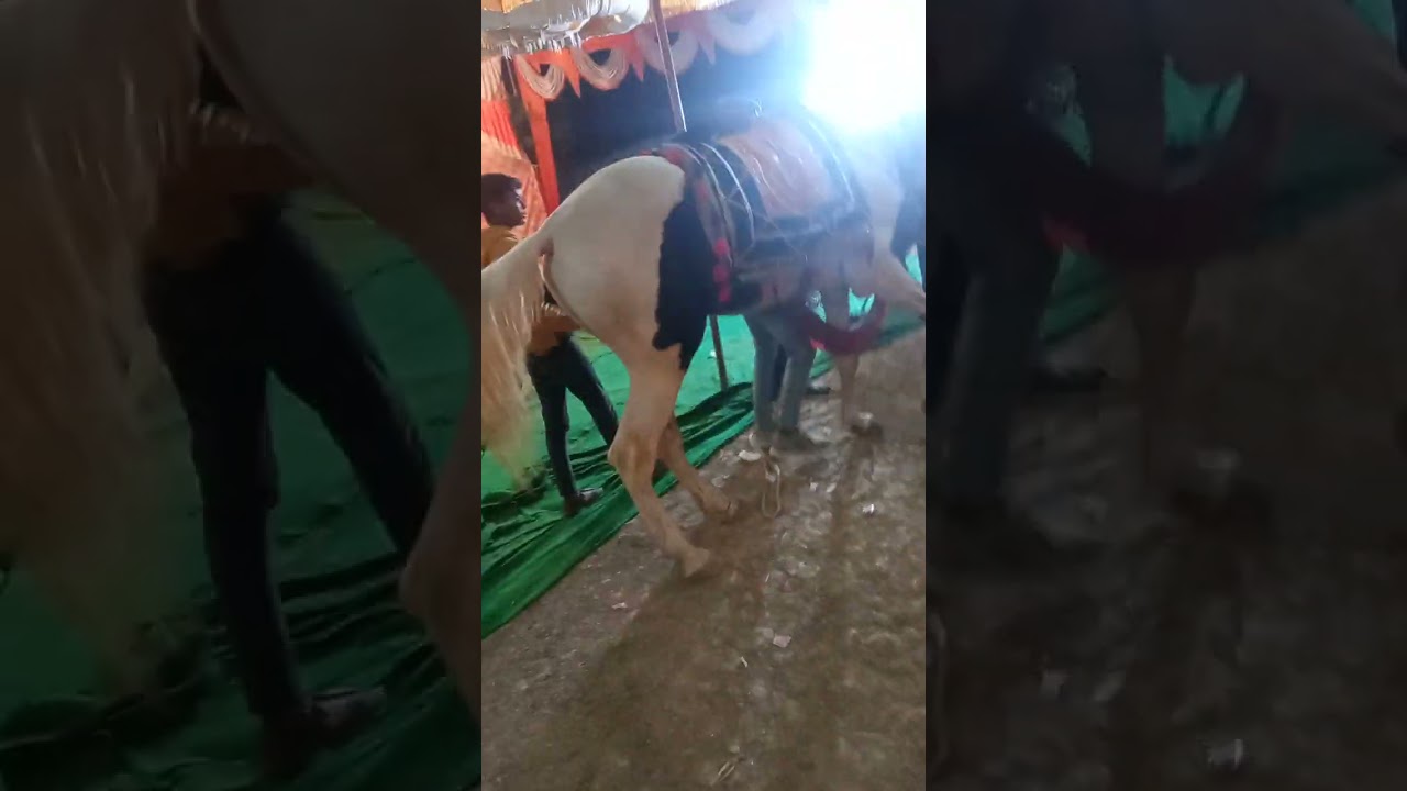 10 फ़रवरी 2023