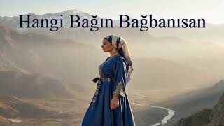 Hangi Bağın Bağbanısan Timeless Reborn Cover Türk Halk Müziği Duygusal Müzik