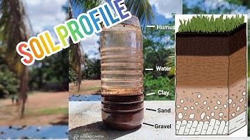 Soil profile experiment-student experiment