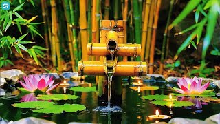 Calming Sleep Music 🌙 Stress Relief Music, Insomnia Healing, Heal Mind, Relaxing Music