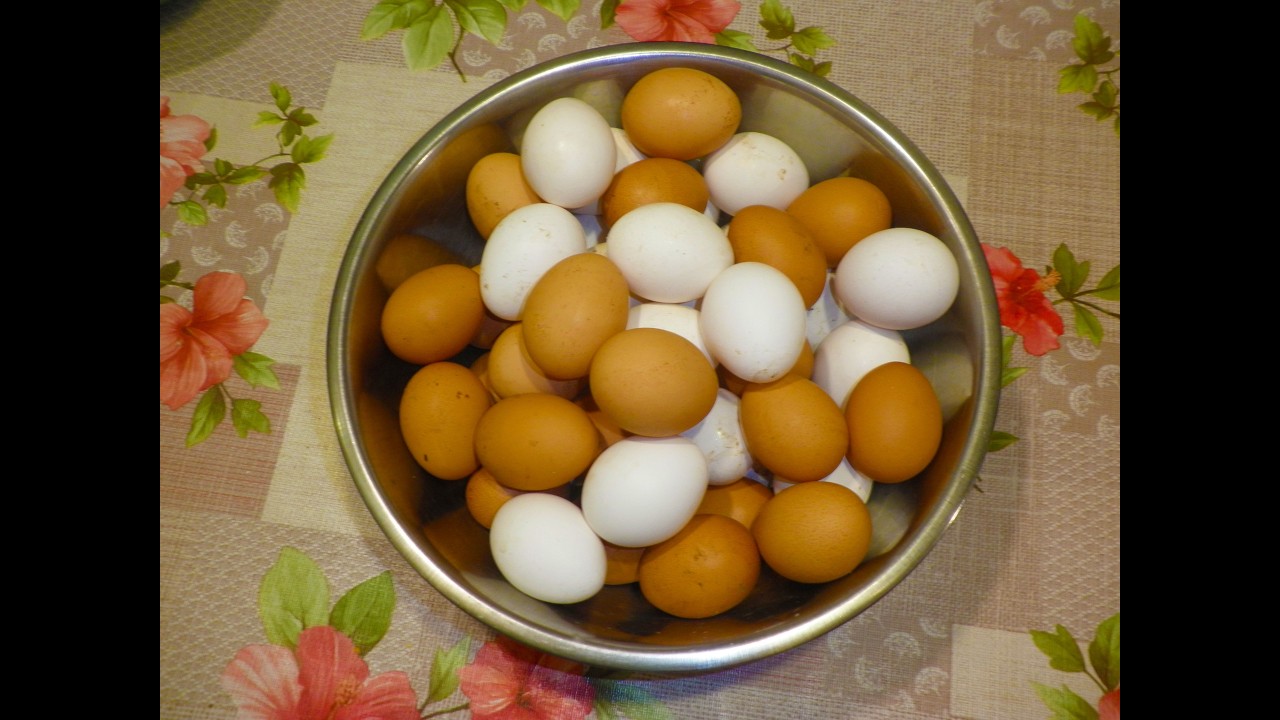 Чому кури несуть неправильні (патологічні) яйця? Як кормити курей-несучок щоб вони добре неслися.  ?