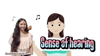 MODULE 4: SENSATION AND PERCEPTION (ABPSYCH1-1)