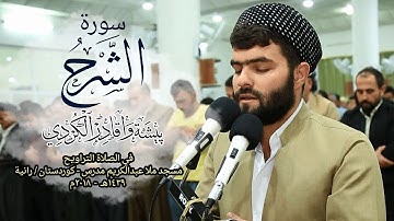 سورة الشرح تلاوة جميلة فى صلاة التراويح للقارئ بيشةوا قادر الكردى