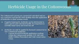 Early Detection Rapid Response Invasive Weed Mitigation: A Case Study