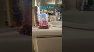 Day one of sea monkeys #SeaMonkey #SeaMonkeys 