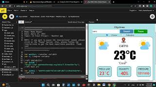 Nada Shawer - CS 30 - Final Project Video Recording - Weather App screenshot 3