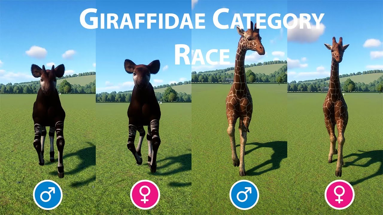 Giraffidae Category Animal Speed Race in Planet Zoo - Reticulated Giraffe vs Okapi