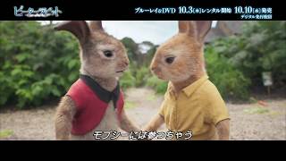 フロプシー・モプシー・コットンテール 三姉妹☆BP-1a!!☆ピーターラビット フロプシー・モプシー・コットンテール 三姉妹☆BP-1a!!☆ピーター