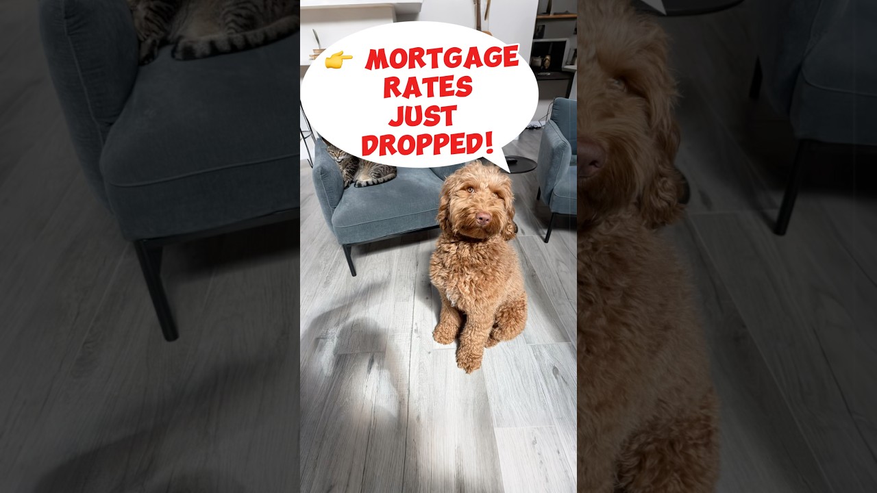 Ставки по ипотеке только что снизились до 5,75% — вот что это значит