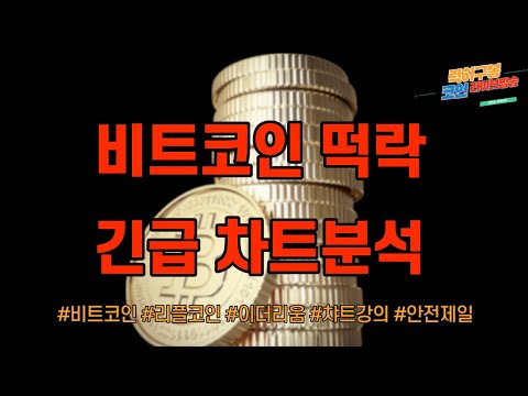 실시간 비트코인 차트분석 하락 대응방법에 대하여 / 이더리움 암호화폐 알트코인  리플코인 ada trx btt nft  btc eth xrp 12/04