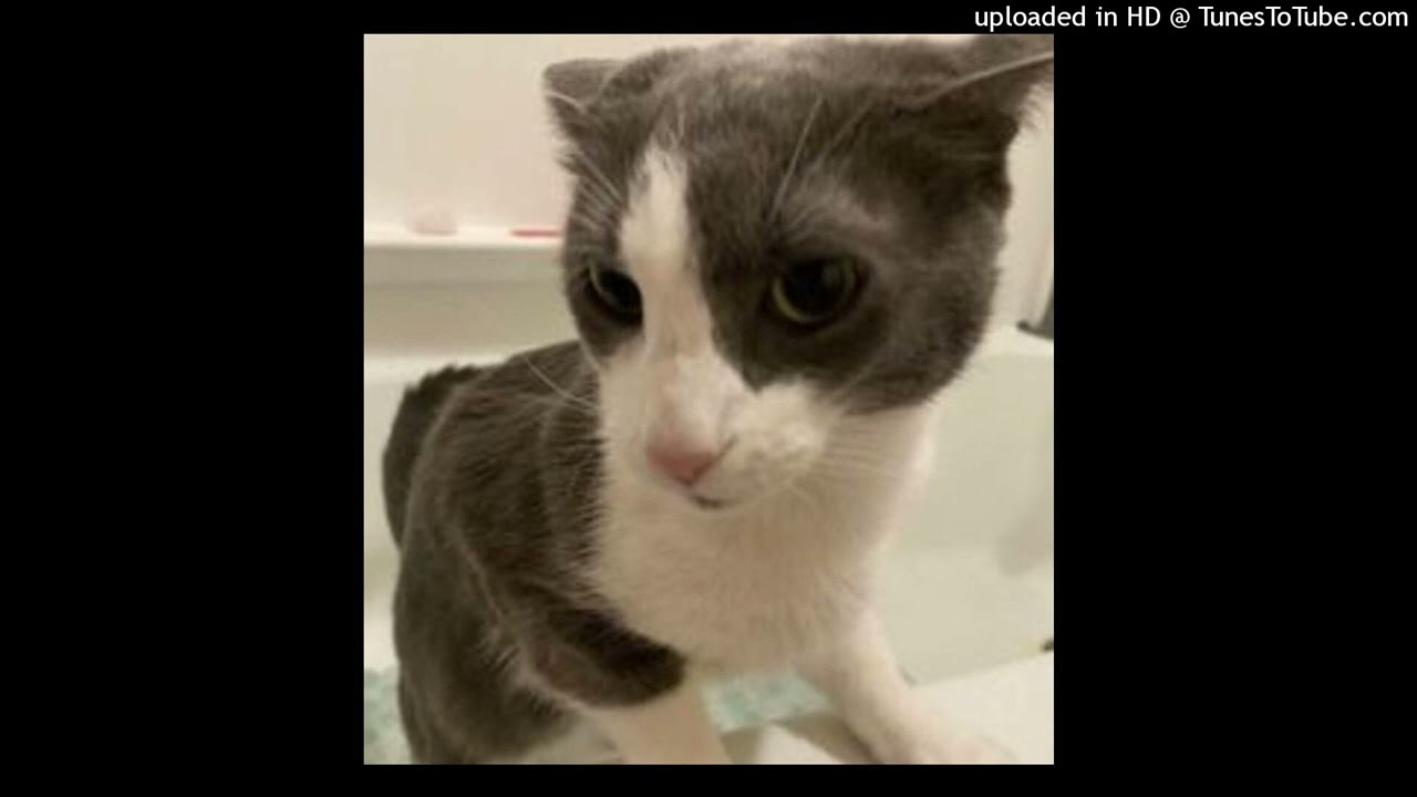 dance x house type beat - "GOYARD" (prod.eyebliss)