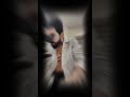 دفنت اهلي واجيت اليوم حيرانة شاهين بغداد