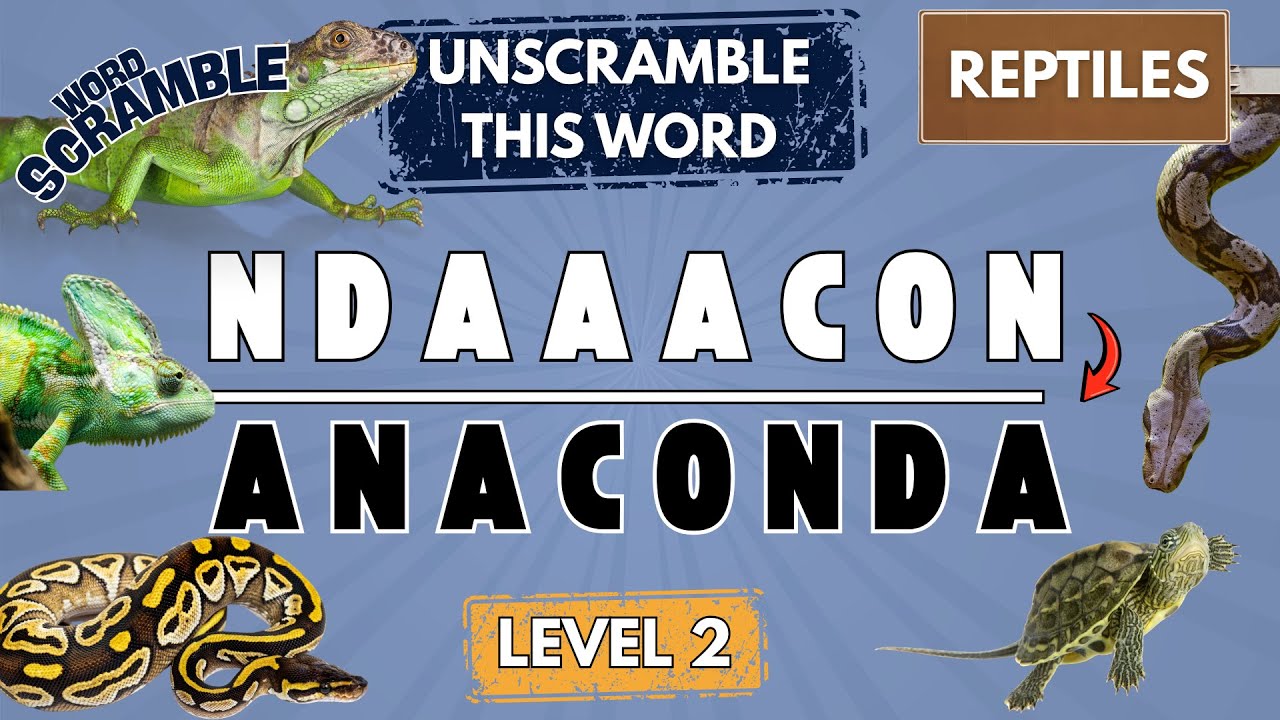LEVEL 2 REPTILES QUIZ | WORD SCRAMBLE | Fun Educational Games