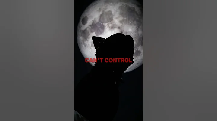 Stronger Than a Hundred Cats! | • WCUE EDIT • | #warriorcats #wcueedit #roblox #wcue #oc