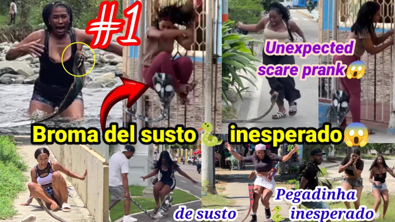 Broma del susto🐍 inesperado / Pegadinha de susto 🐍 inesperado / Unexpected scare prank