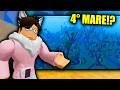 La NUOVA ISOLA Del 4° MARE Su ROBLOX Blox Fruits