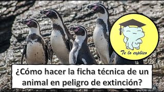 ¿Cómo hacer la ficha técnica de un animal en peligro de extinción?